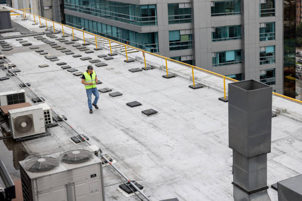 Best Skylight Installation and Repair  in North Baltimore, OH